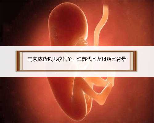 南京成功包男孩代孕，江苏代孕龙凤胎案背景