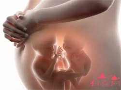 供卵代怀生儿子，一起代孕生子引发的纠纷：到底是分娩者为母还是供卵者为母